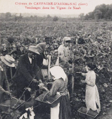 Il Signor Yvan Saint-Martin